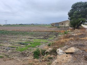 Finca, Segunda línea de playa