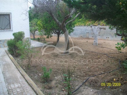 Chalet independiente, Situado en San Fulgencio Alicante 11