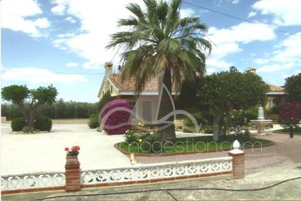 Chalet independiente, Situado en Elche Alicante 3