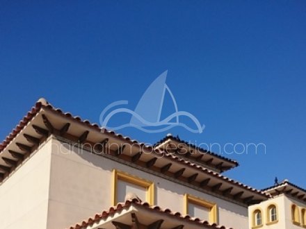 Chalet independiente, Situado en Elche Alicante 3