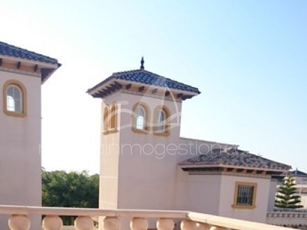 Chalet independiente, Situado en Elche Alicante 13