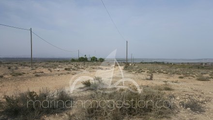 Terreno, Situado en Elche Alicante 10