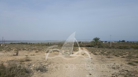 Terreno, Situado en Elche Alicante 9