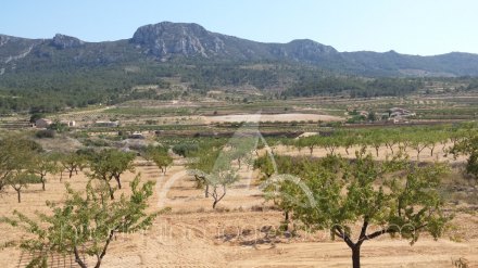 Chalet independiente, Situado en Hondón de los Frailes Alicante 9