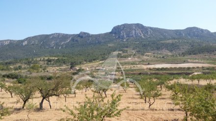 Chalet independiente, Situado en Hondón de los Frailes Alicante 10