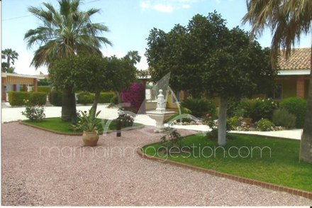 Chalet independiente, Situado en Elche Alicante 5