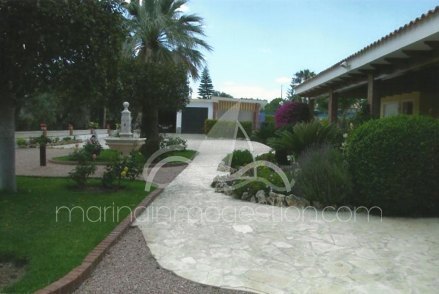 Chalet independiente, Situado en Elche Alicante 6