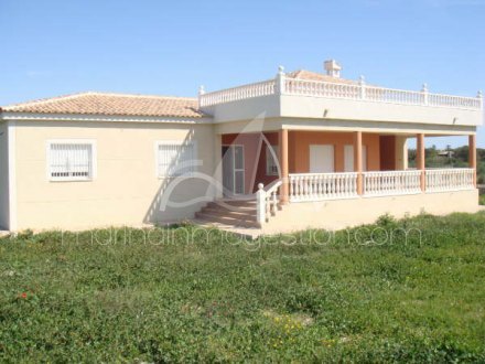 Chalet independiente, Situado en Elche Alicante 1