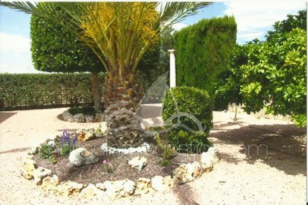 Chalet independiente, Situado en Elche Alicante 8