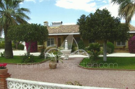 Chalet independiente, Situado en Elche Alicante 10