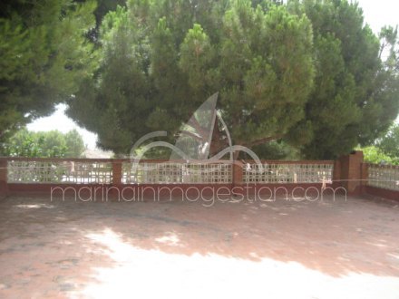 Chalet independiente, Situado en Elche Alicante 2