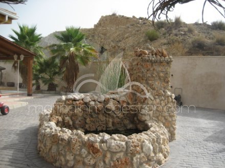 Chalet independiente, Situado en Elche Alicante 4