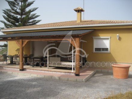 Chalet independiente, Situado en Elche Alicante 1
