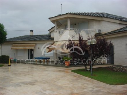 Chalet independiente, Situado en Elche Alicante 13