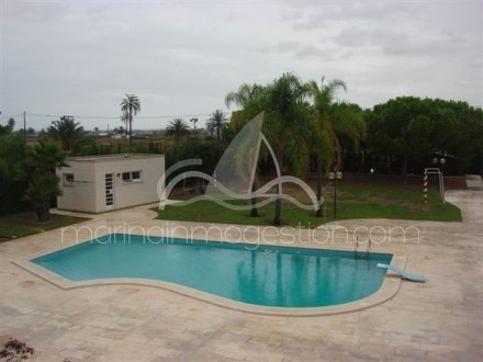 Chalet independiente, Situado en Elche Alicante 14