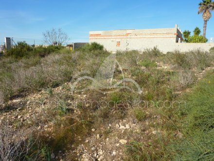 Terreno, Situado en San Fulgencio Alicante 4