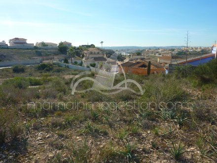 Terreno, Situado en San Fulgencio Alicante 7