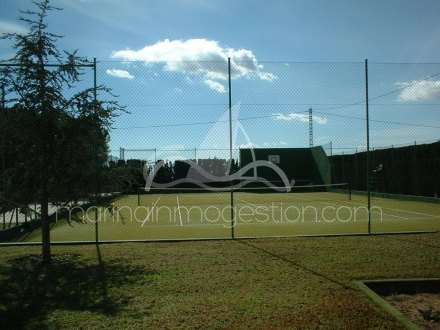 Chalet independiente, Situado en Elche Alicante 16