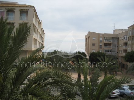 Apartamento, Situado en Elche Alicante 7