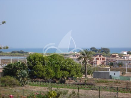 Finca, Situado en Elche Alicante 26