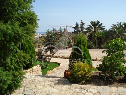 Finca, Situado en Elche Alicante 28