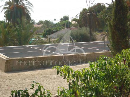 Finca, Situado en Elche Alicante 18