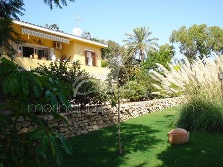 Finca, Situado en Elche Alicante 1