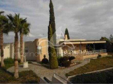 Chalet independiente, Situado en Elche Alicante 2