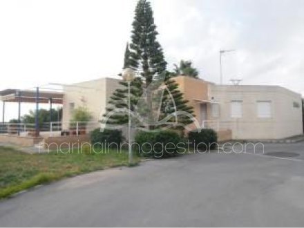 Chalet independiente, Situado en Elche Alicante 1