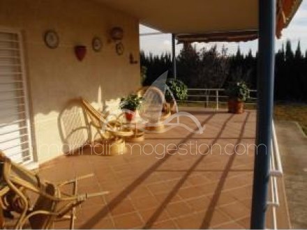 Chalet independiente, Situado en Elche Alicante 7