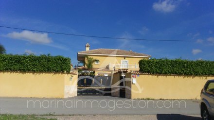 Chalet independiente, Situado en Elche Alicante 1