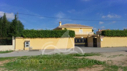 Chalet independiente, Situado en Elche Alicante 3