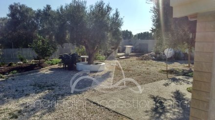 Finca, Situado en Elche Alicante 11