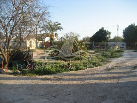 Finca, Situado en Elche Alicante 20