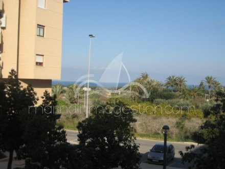 Apartamento, Situado en Elche Alicante 8