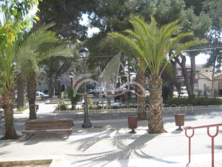 Local comercial, Situado en Elche Alicante 5