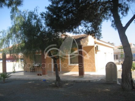 Chalet independiente, Situado en San Fulgencio Alicante 8