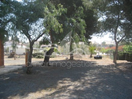 Chalet independiente, Situado en San Fulgencio Alicante 4