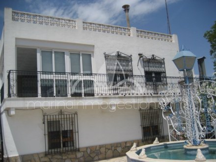 Chalet independiente, Situado en Elche Alicante 5