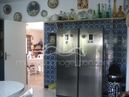 Chalet independiente, Situado en Elche Alicante 13