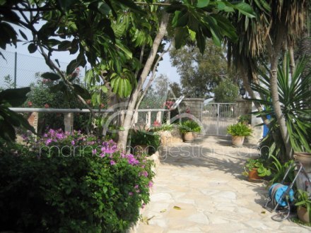 Chalet independiente, Situado en Elche Alicante 4