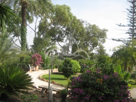 Chalet independiente, Situado en Elche Alicante 5