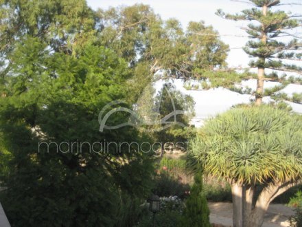 Chalet independiente, Situado en Elche Alicante 6