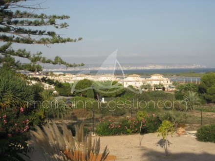 Chalet independiente, Situado en Elche Alicante 2