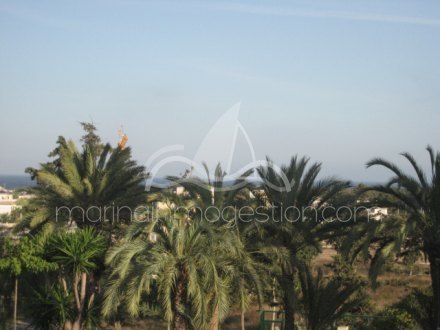 Chalet independiente, Situado en Elche Alicante 7