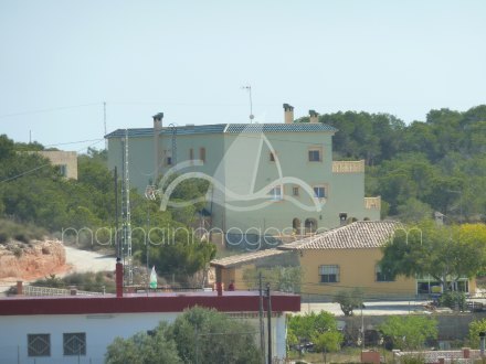 Chalet independiente, Situado en Elche Alicante 1