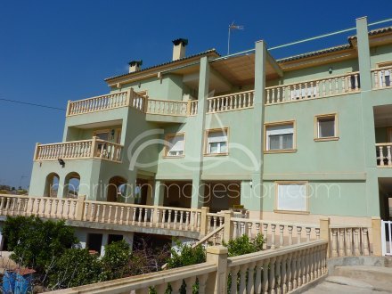 Chalet independiente, Situado en Elche Alicante 4