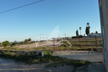 Terreno, Situado en Elche Alicante 2