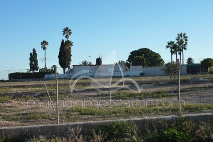 Terreno, Situado en Elche Alicante 4