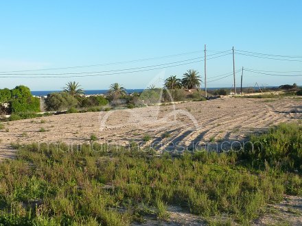 Terreno, Situado en Elche Alicante 1